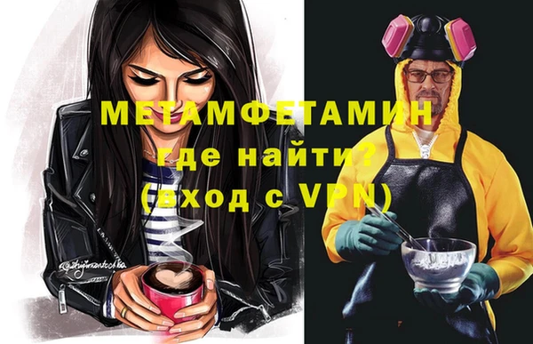 ГАЛЛЮЦИНОГЕННЫЕ ГРИБЫ Дмитриев