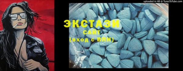 ешки Алексин